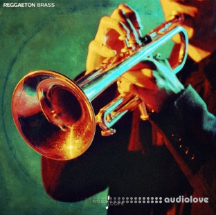 Touch Loops Reggaeton Brass