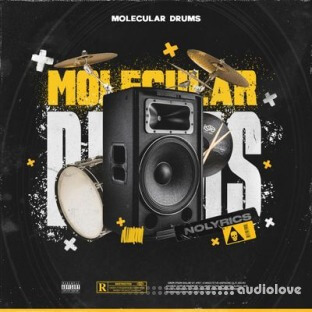 nolyrics MOLECULAR DRUMS