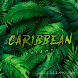 Godlike Loops Caribbean Dreams