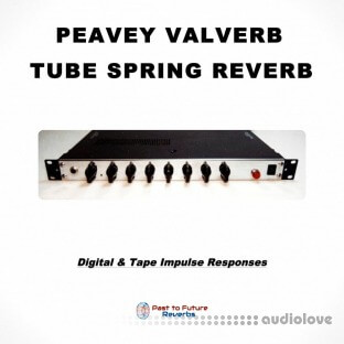 PastToFutureReverbs Peavey Valverb! (Rare Tube Spring Reverb)