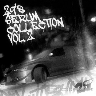 29Sounds 29's Serum Collection Vol.2