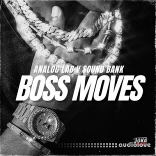 Diamond Loopz Boss Moves Analog Lab Bank