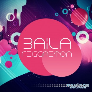 Equinox Sounds Baila Reggaeton