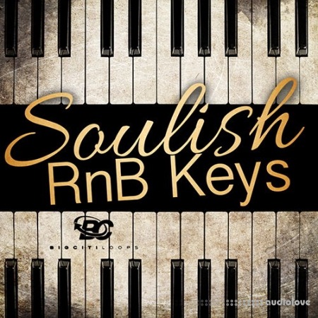 Big Citi Loops Soulish RnB Keys