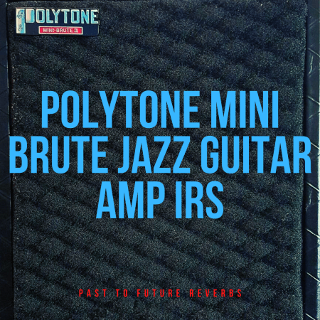 PastToFutureReverbs Polytone Mini Brute Jazz Guitar Amp IR's!