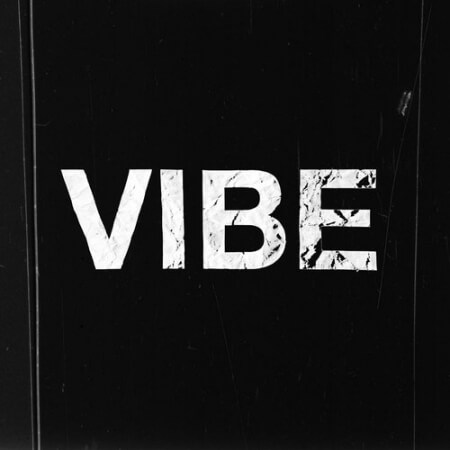 Circles Drum Samples VIBE Vol.1