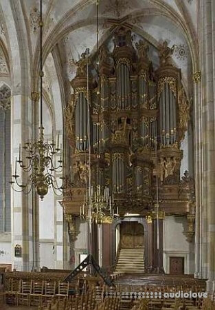 Sonus Paradisi Zwolle, St. Michael Surround V2