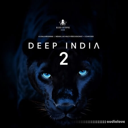 Black Octopus Sound Deep India Vol.2