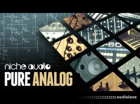 Niche Audio Pure Analog Ableton Live and