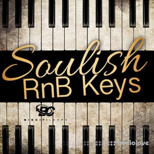 Big Citi Loops Soulish RnB Keys