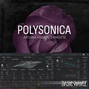 Basic Wavez Polysonica Arturia Pigments Presets For Melodic House And Techno