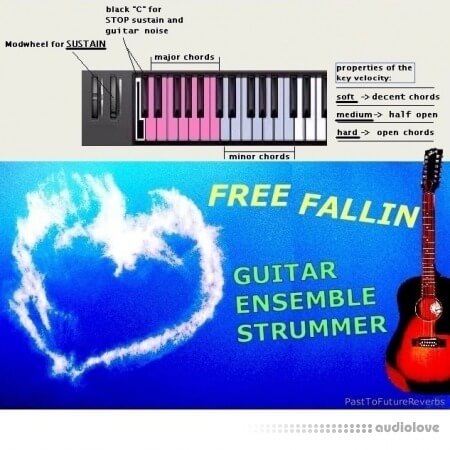 PastToFutureReverbs Free Fallin Guitar Ensemble Strummer (Part 2)