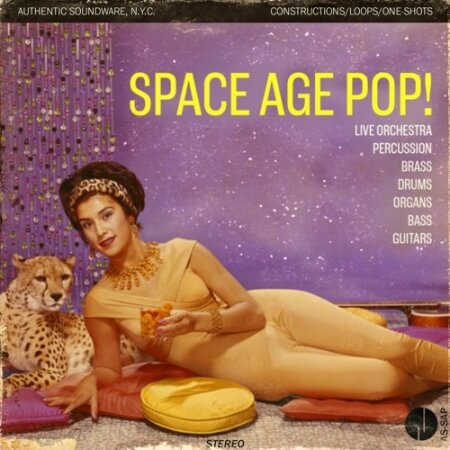 Authentic Soundware Space Age Pop!