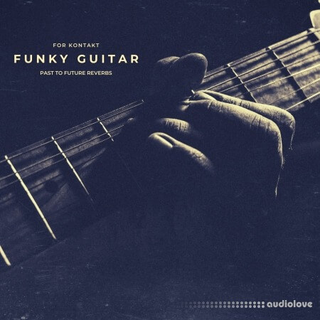 PastToFutureReverbs Funky Guitar