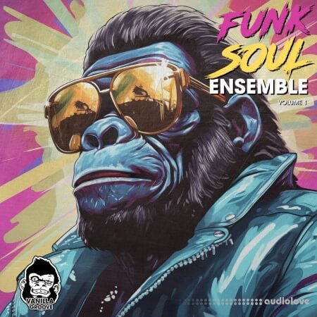 Vanilla Groove Studios Funk Soul Ensemble Vol 1