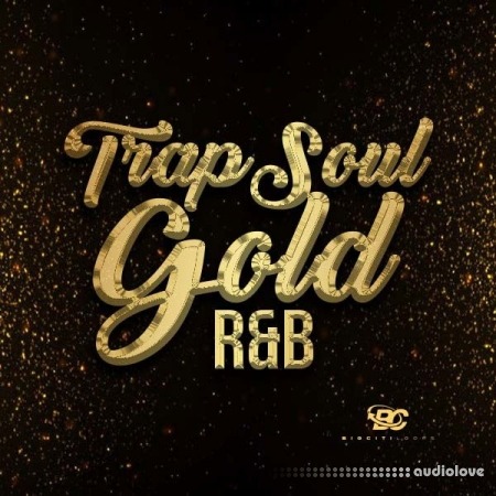 Big Citi Loops Trapsoul Gold RnB