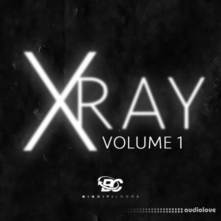 Big Citi Loops X-Ray Vol 1