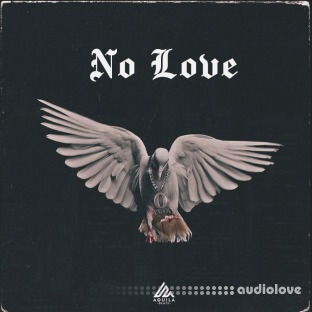 Aquila Beats No Love