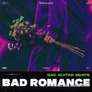 Jungle Loops Bad Romance - Sad Guitar Beats