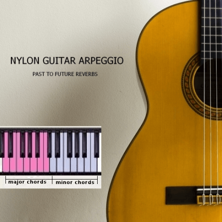 PastToFutureReverbs Nylon Guitar Arpeggio For Kontakt!