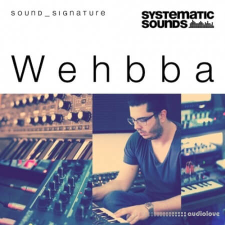 Systematic Sounds Wehbba Sound Signature