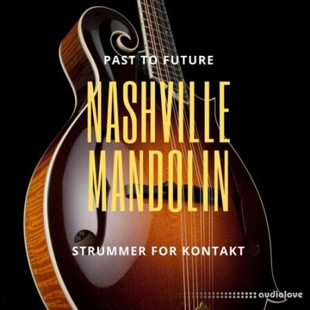 PastToFutureReverbs Nashville Mandolin Strummer