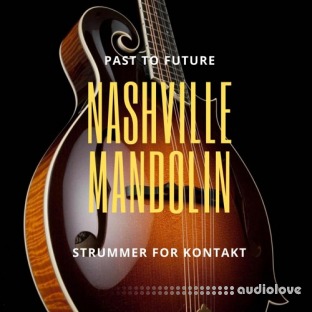 PastToFutureReverbs Nashville Mandolin Strummer