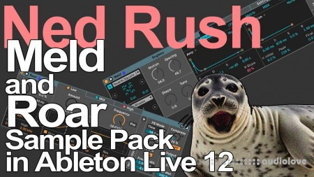 Ned Rush Meld and Roar Sample Pack Fun