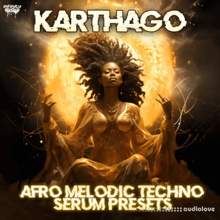 Infinity Audio Karthago Afro Melodic Techno Serum Presets