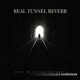 PastToFutureReverbs Real Tunnel Reverb