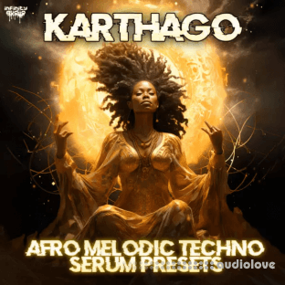 Infinity Audio Karthago Afro Melodic Techno Serum Presets