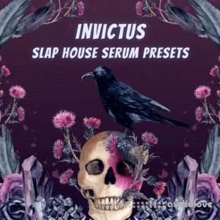 Infinity Audio Invictus Slap House