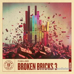 Pelham and Junior Broken Bricks 3