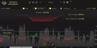 NoiseWorks DynAssist