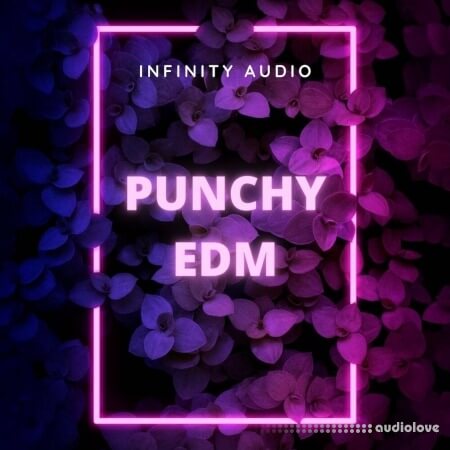 Infinity Audio Punchy EDM