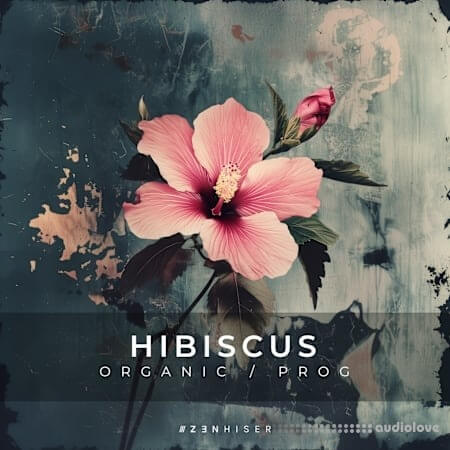 Zenhiser Hibiscus - Organic / Progressive