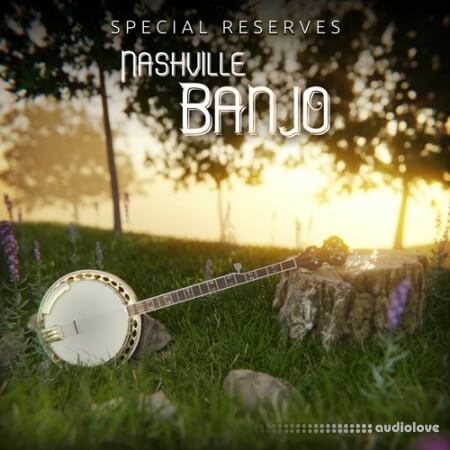 Impact Soundworks Special Reserves Nashville Banjo