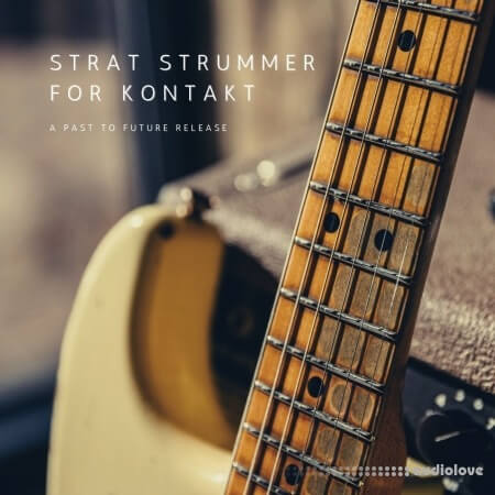 PastToFutureReverbs Strat Strummer