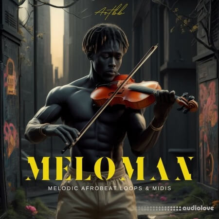 Aotbb Meloman - Melodic Afrobeats