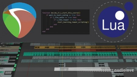 Udemy Reaper Scripts for Beginners