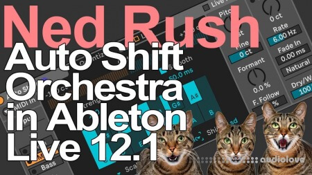 Ned Rush Auto Shift Orchestra