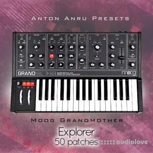 LFO Store Moog Grandmother Explorer