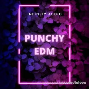 Infinity Audio Punchy EDM