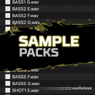 Zigi SC Sample Bigpack 008 (30x BASS + 6x SERUM PRESET)