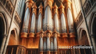 Udemy Exploring The King Of Instruments: Pipe Organ Basics