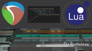 Udemy Reaper Scripts for Beginners