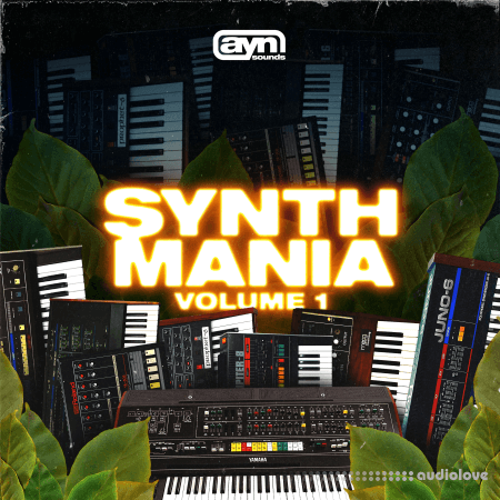 AYN Sounds Synth Mania Vol.1