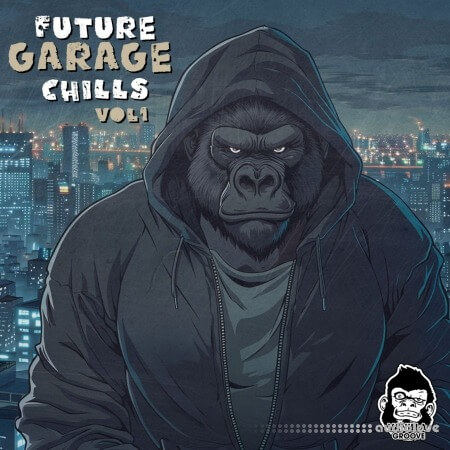 Vanilla Groove Studios Future Garage Chills Vol 1