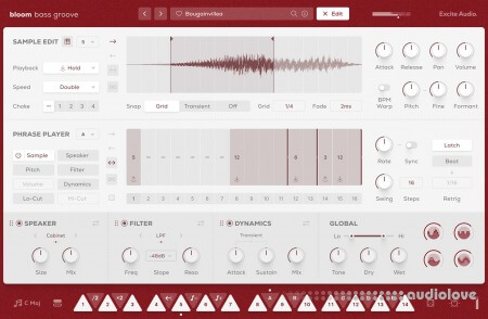 Excite Audio Bloom Bass Groove