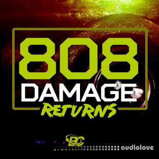 Big Citi Loops 808 Damage Returns